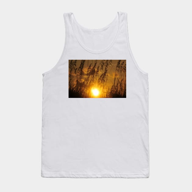 Sea Oats sunset Tank Top by dltphoto